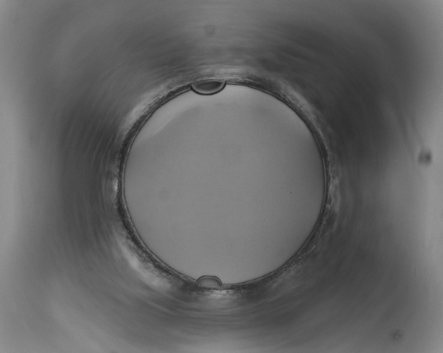 X0000115090059200911171226