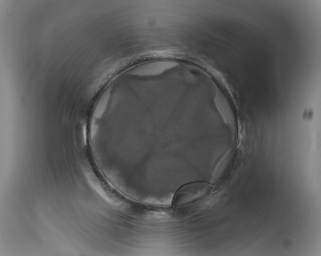 X0000115090061200911171226