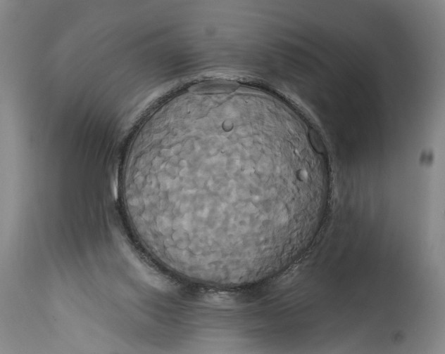 X0000115090062200911171226