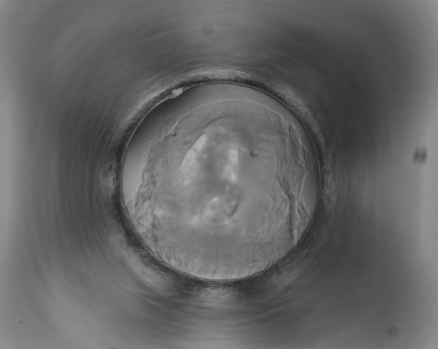 X0000115090063200911171226