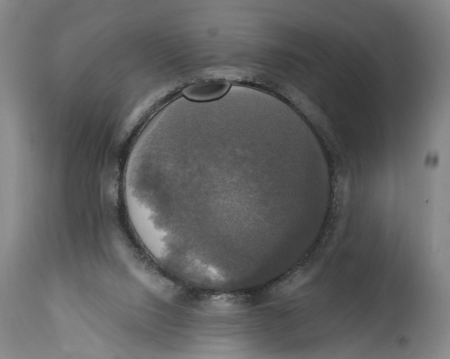 X0000115090064200911171226