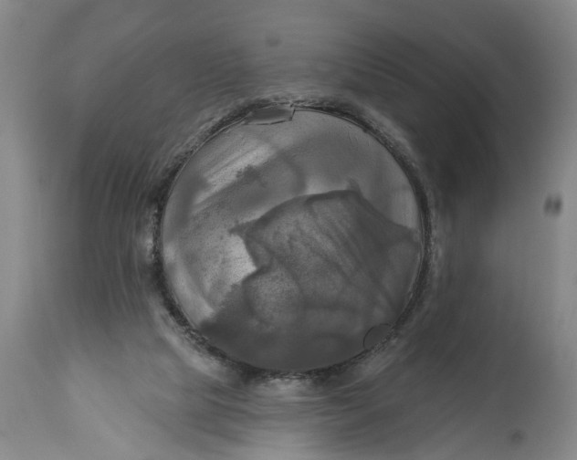 X0000115090065200911171227