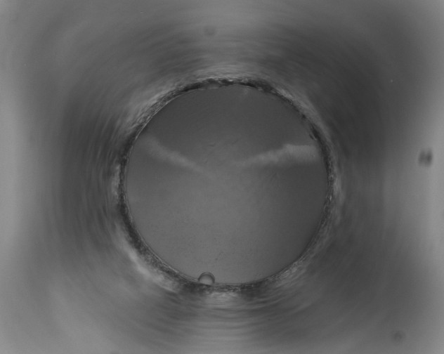 X0000115090066200911171227