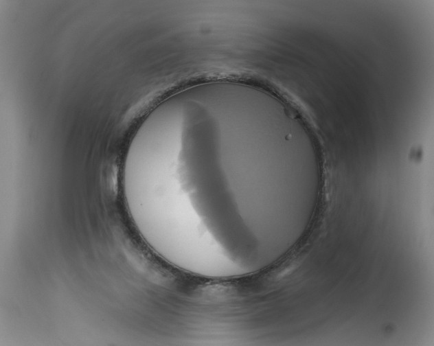 X0000115090067200911171227