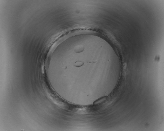 X0000115090068200911171227