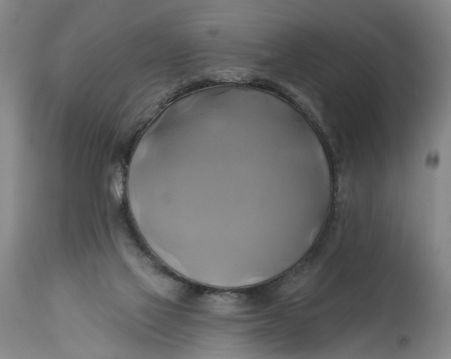 X0000115090069200911171227