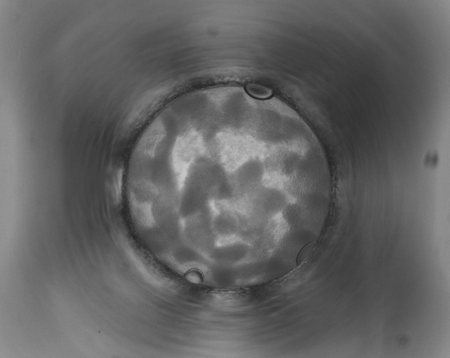 X0000115090070200911171227
