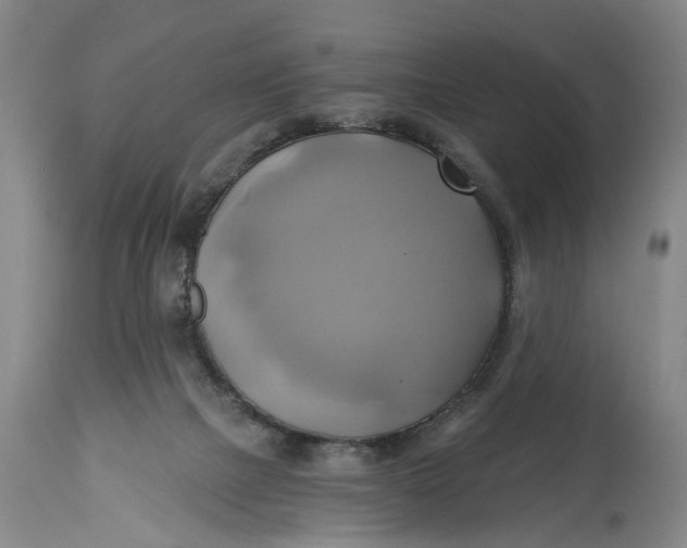 X0000115090073200911171227