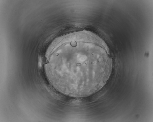 X0000115090075200911171227