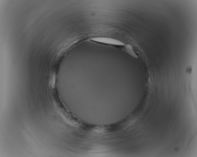X0000115090076200911171227