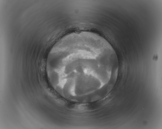 X0000115090078200911171227
