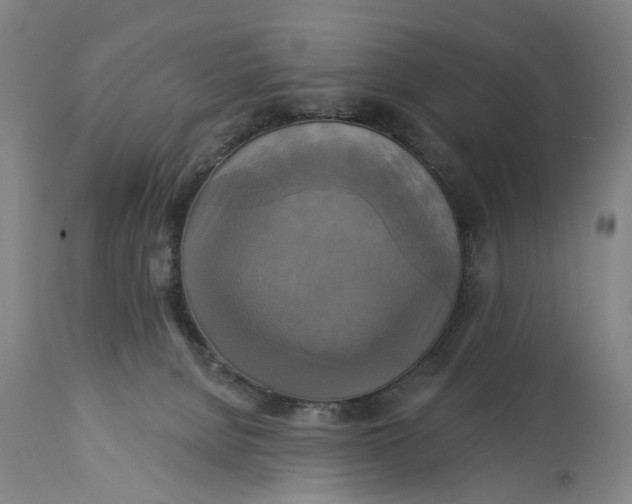 X0000115090080200911171227