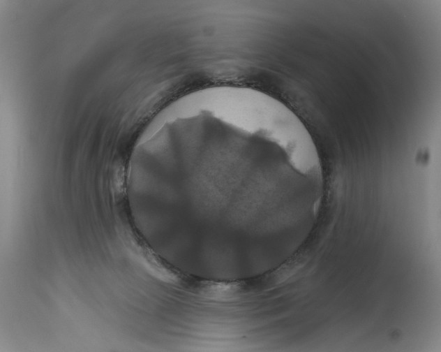 X0000115090081200911171227