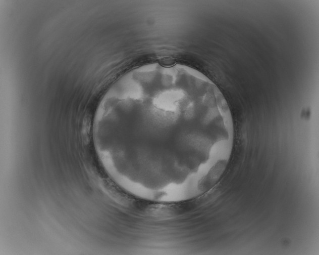 X0000115090082200911171227