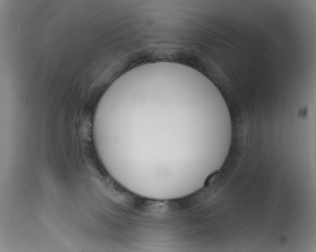X0000115090083200911171227