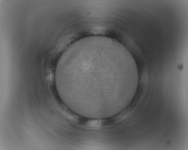X0000115090084200911171227