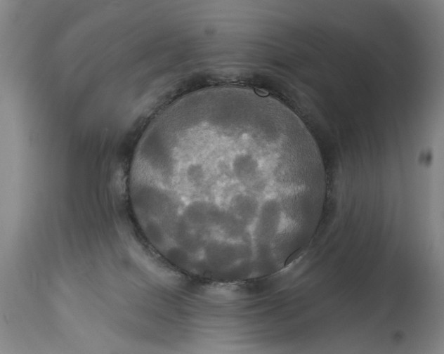 X0000115090086200911171227