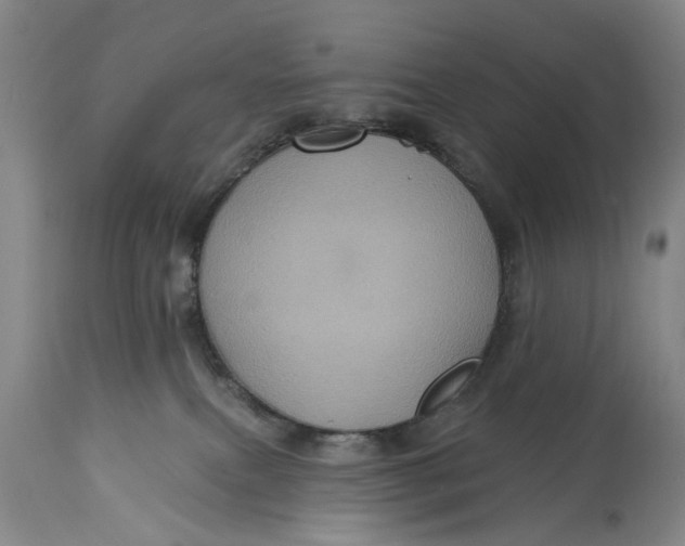 X0000115090087200911171227