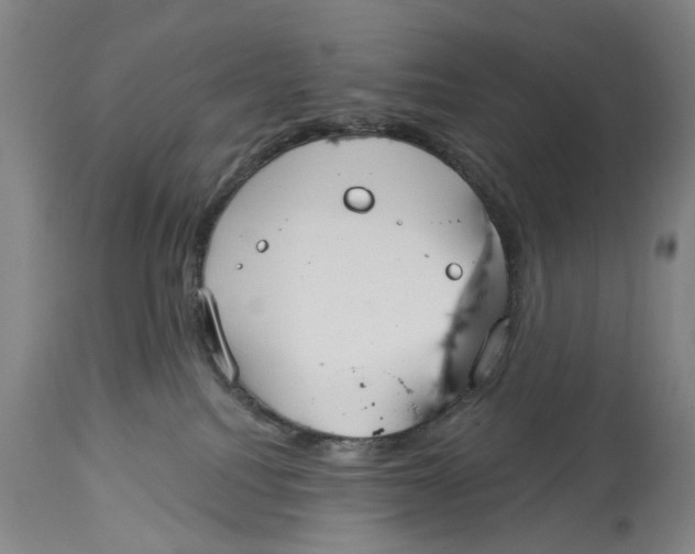 X0000115090088200911171227