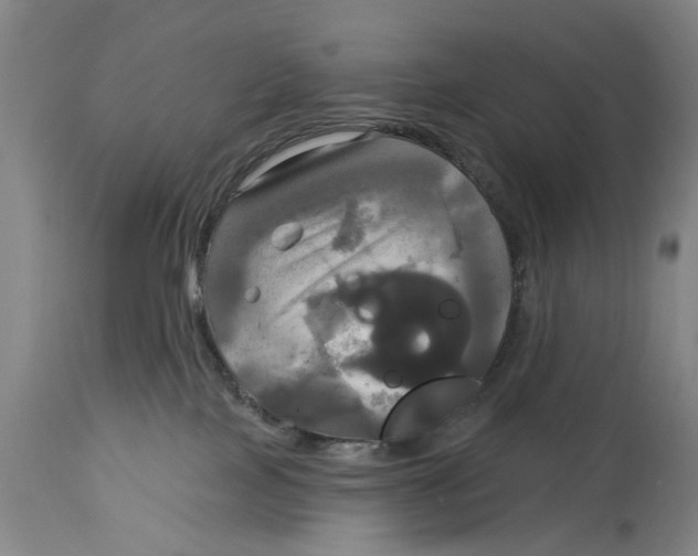 X0000115090089200911171227