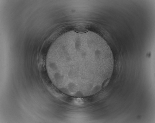 X0000115090091200911171227