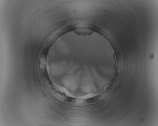 X0000115090093200911171227