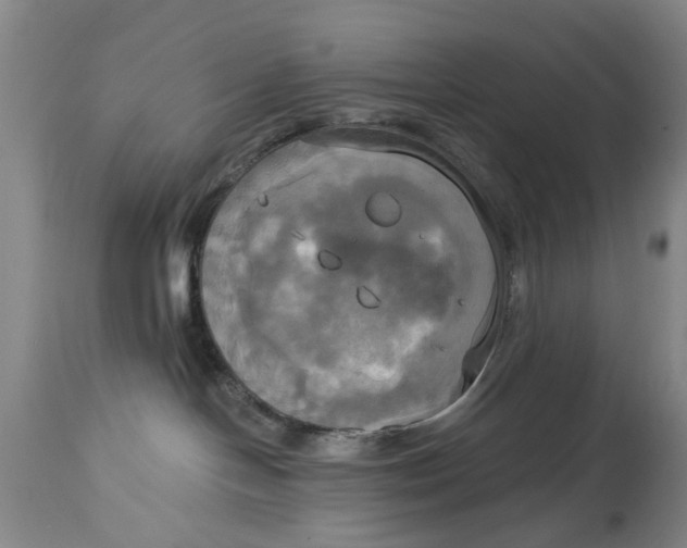 X0000115090094200911171227
