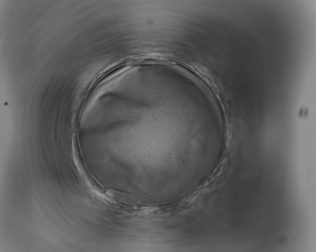 X0000115090097200911171226
