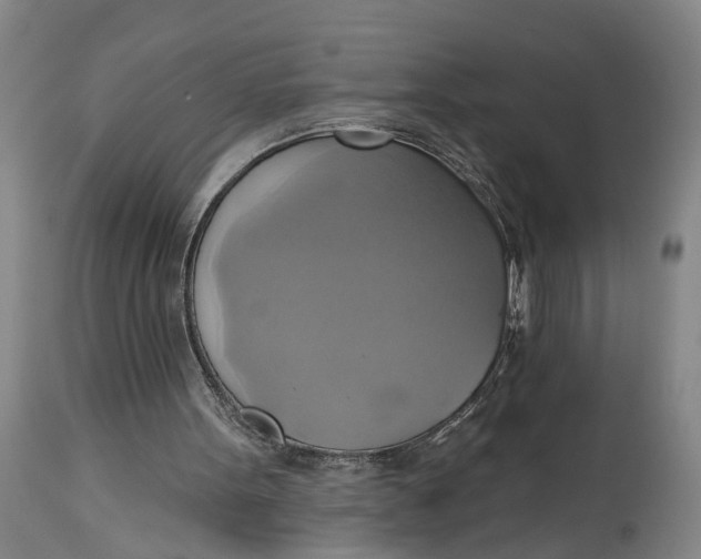 X0000115090099200911171226