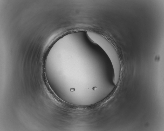 X0000115090101200911171226