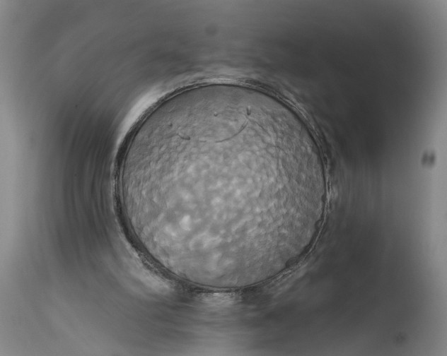 X0000115090102200911171226