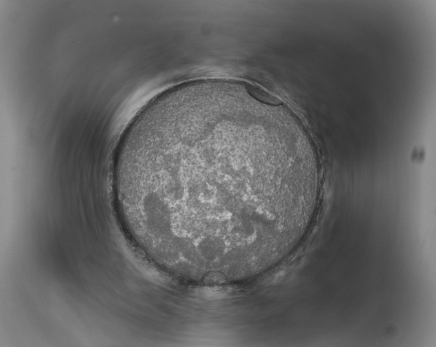 X0000115090103200911171226