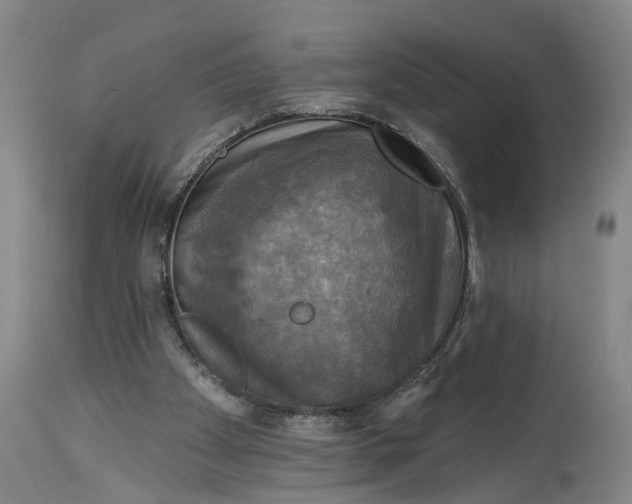 X0000115090105200911171226