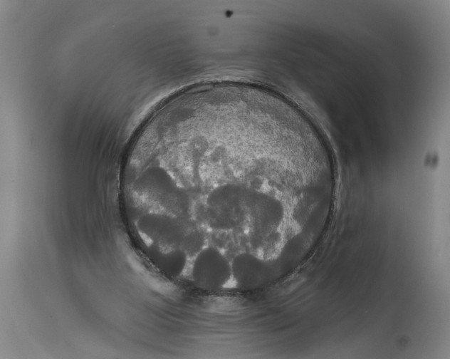 X0000115090107200911171226