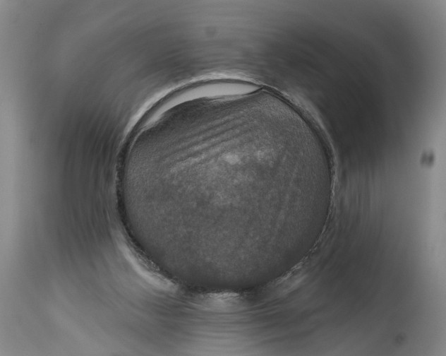 X0000115090108200911171226