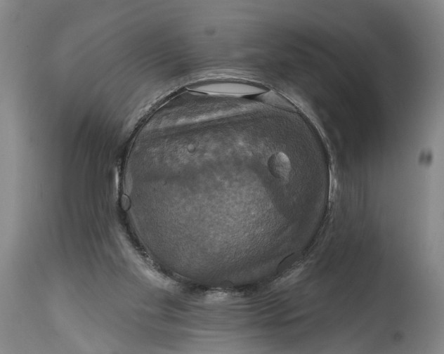 X0000115090109200911171226