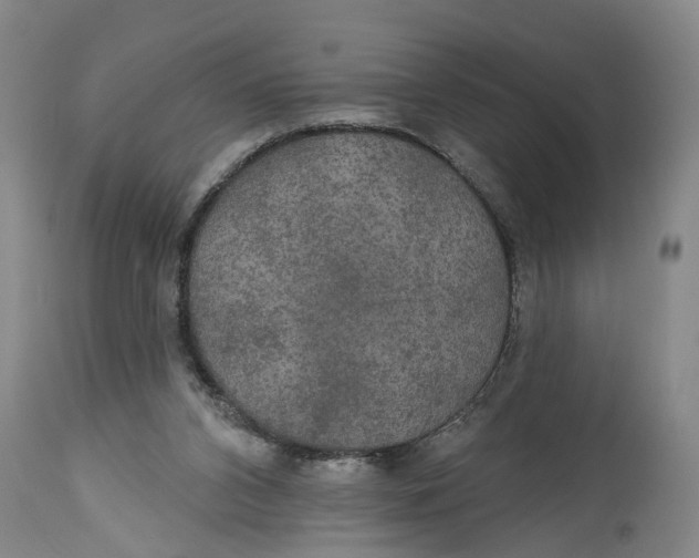 X0000115090112200911171226