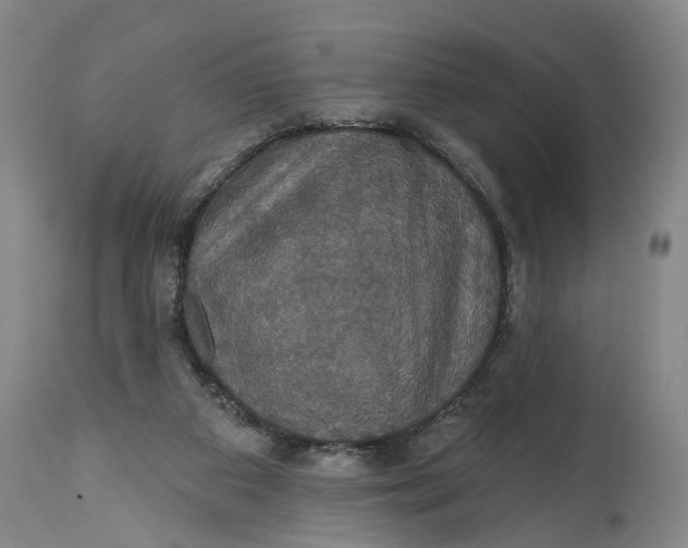 X0000115090113200911171226