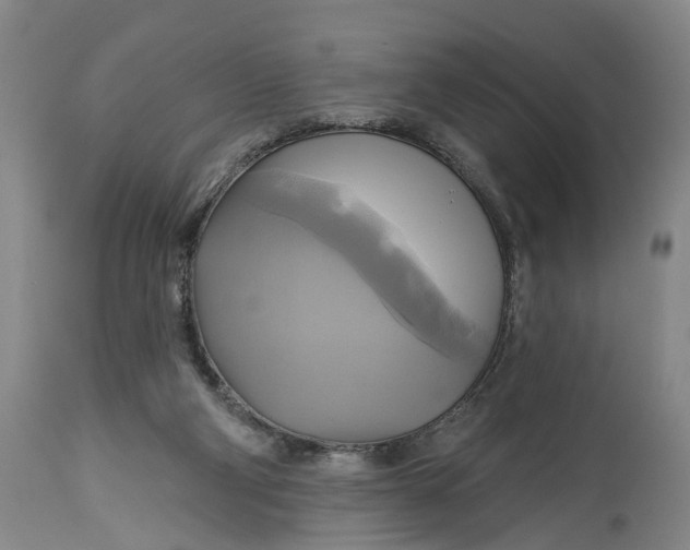X0000115090114200911171226