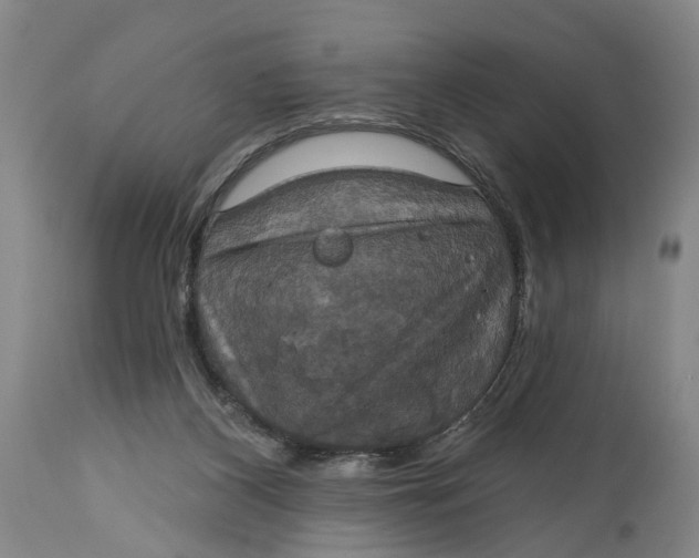 X0000115090116200911171226