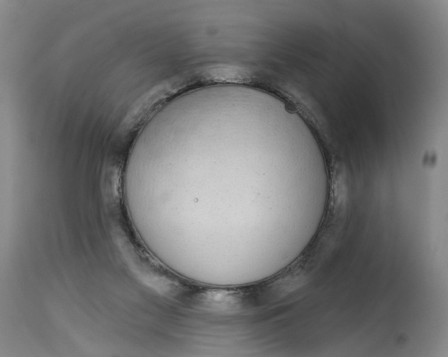X0000115090117200911171226