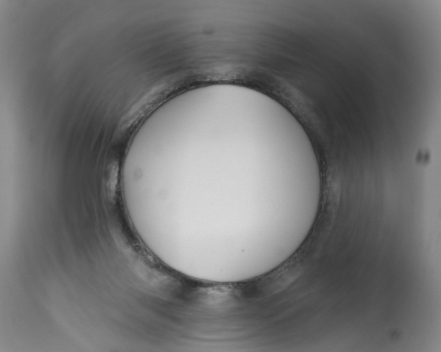 X0000115090118200911171226