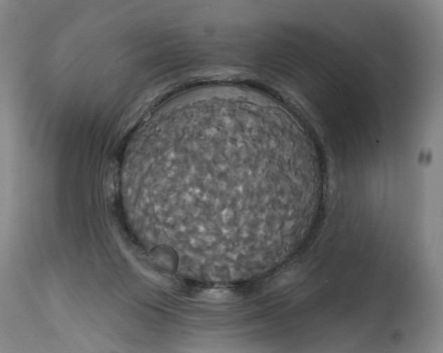 X0000115090119200911171226