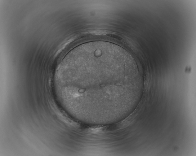 X0000115090120200911171226