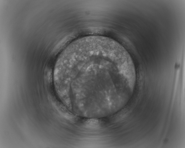 X0000115090123200911171226