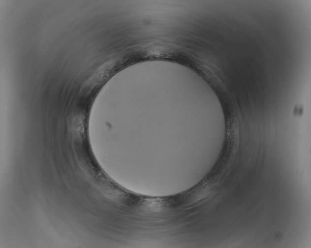 X0000115090127200911171226