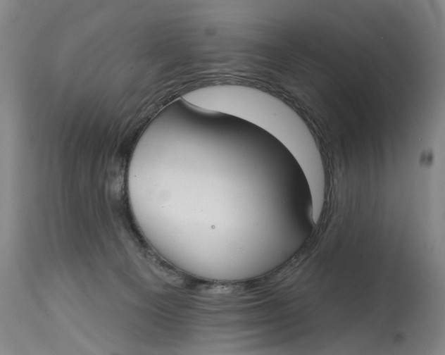 X0000115090129200911171226