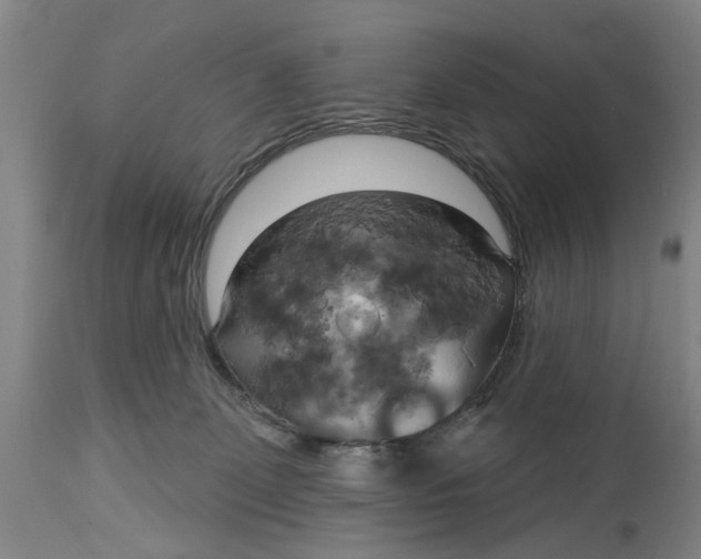X0000115090131200911171226