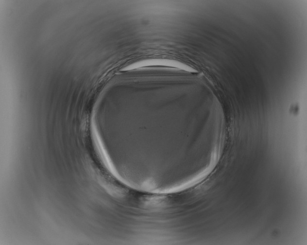 X0000115090132200911171226