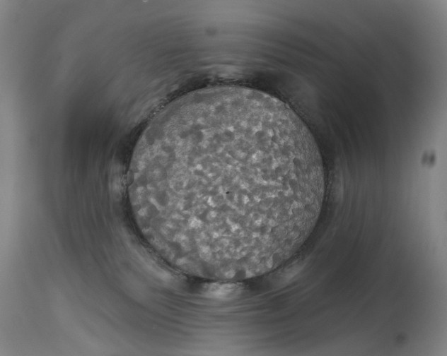 X0000115090135200911171226